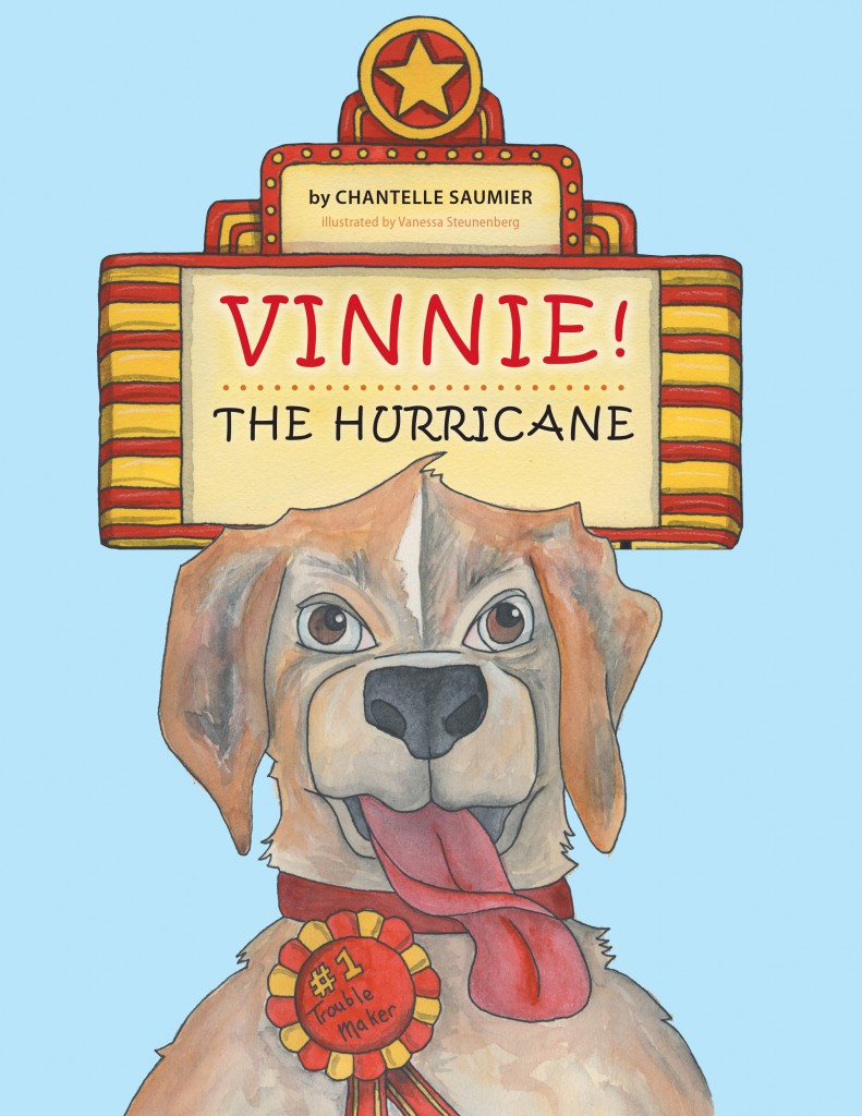 Cover image of Vinnie! The Hurricane